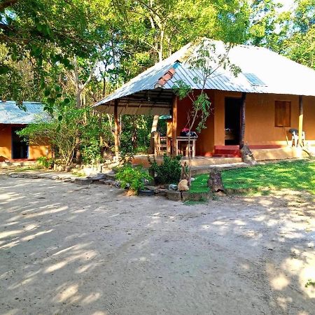 Sahana Retreat Buttala Zewnętrze zdjęcie